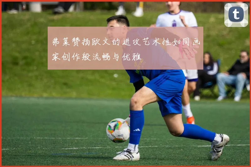 弗莱赞扬欧文的进攻艺术性如同画家创作般流畅与优雅