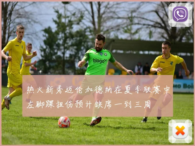 热火新秀迈伦加德纳在夏季联赛中左脚踝扭伤预计缺席一到三周