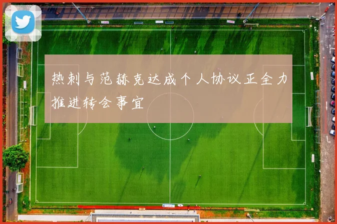 热刺与范赫克达成个人协议正全力推进转会事宜